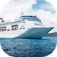 cruise logo